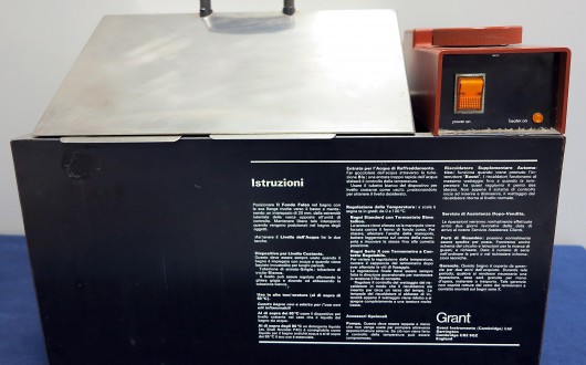 IMG_2517.corretta-web