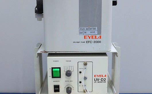 IMG_2521.corretta-web