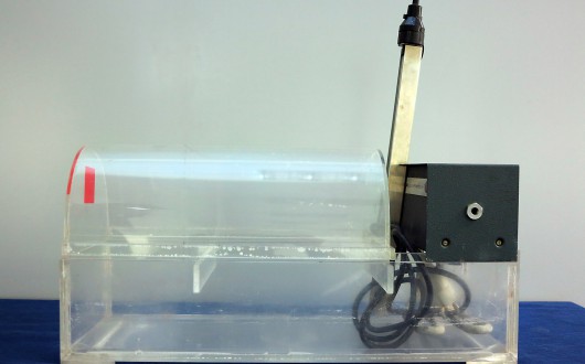 IMG_2544.corretta-web