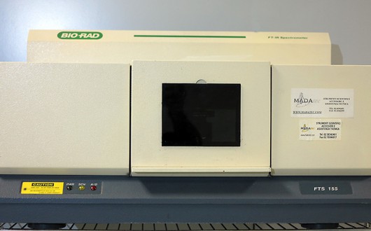 IMG_2565.corretta-web