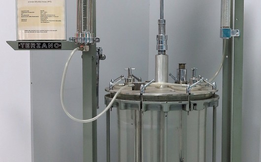 IMG_2577.corretta-web