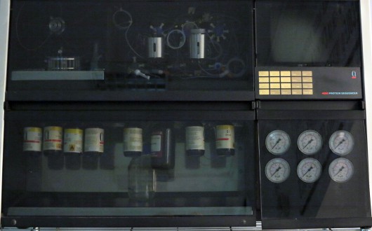 IMG_2593.corretta-web