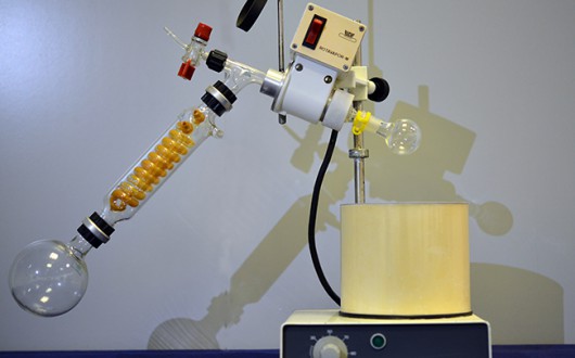 MED_1344.corretta-web