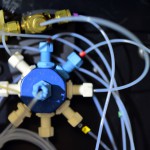 MED_1386.corretta-web