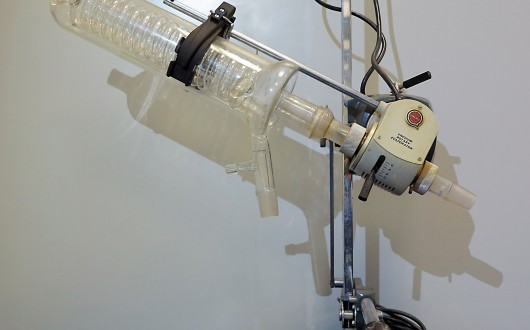 IMG_2541.corretta-web