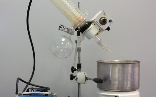 IMG_2542.corretta-web