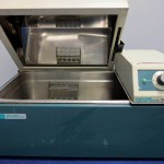 IMG_2460.corretta-web