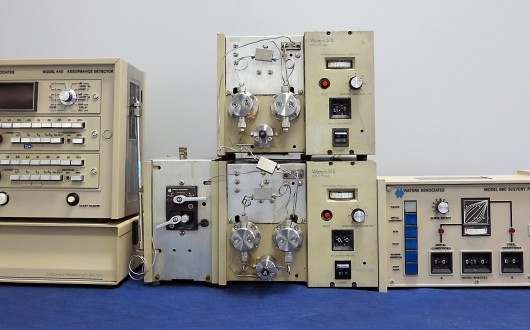 IMG_2538.corretta-web