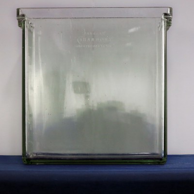 IMG_2553.corretta-web